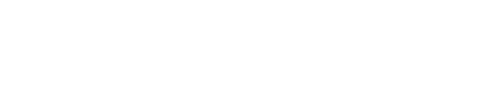Raiola Networks